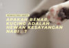 APAKAH BENAR, KUCING ADALAH HEWAN KESAYANGAN NABI ﷺ? APAKAH BENAR KUCING ADALAH HEWAN KESAYANGAN NABI
