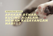 APAKAH BENAR, KUCING ADALAH HEWAN KESAYANGAN NABI ﷺ? APAKAH BENAR KUCING ADALAH HEWAN KESAYANGAN NABI