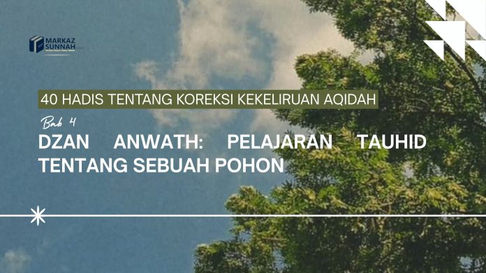 IMG WA[]